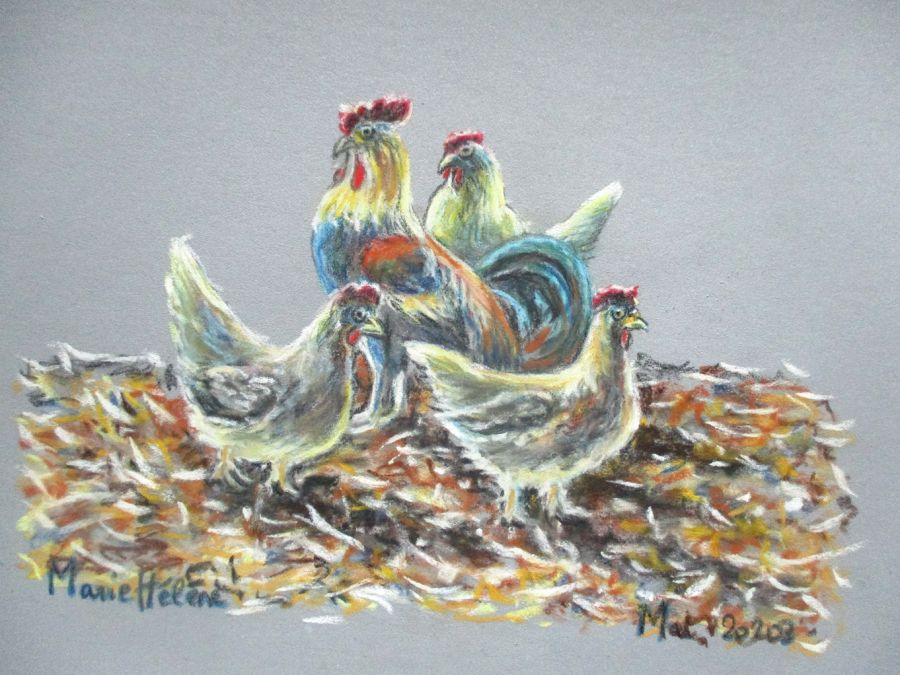 Coq et poules